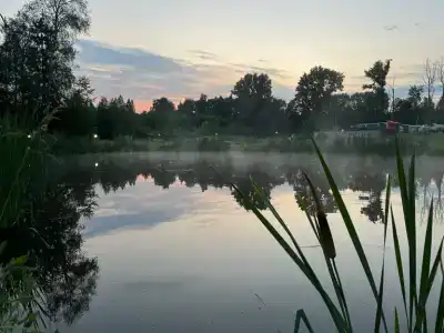 Березовка - 12