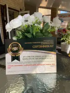 Шелковый путь - 11