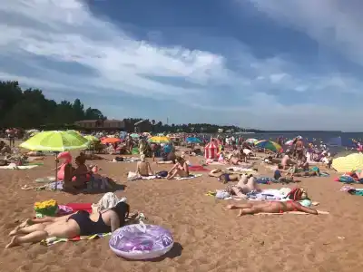 Мир Маяков - 43