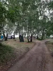 Поляна - 26