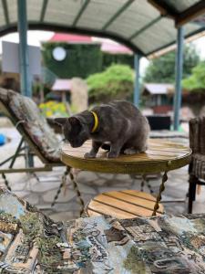 Форт Апатур - 98