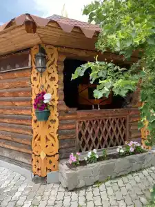 Центр Волкова - 9
