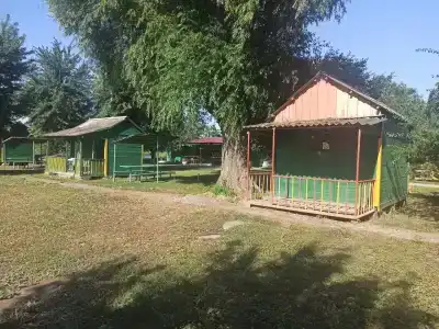 Вишневый сад - 18