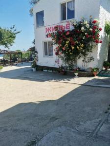 Рида - 44