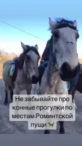 Краснолесье Точка - 62