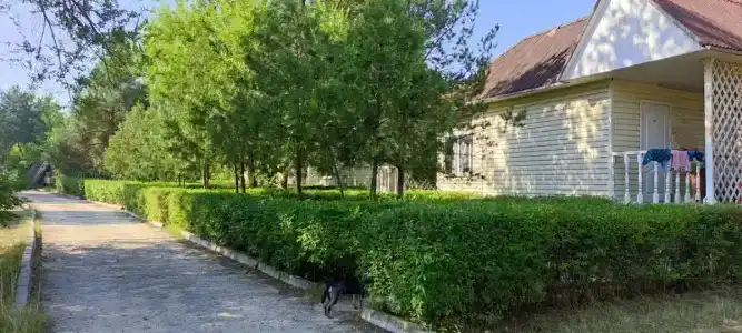 Коробейники - 0