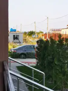 Белый Лотос - 26