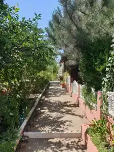 Лукулл - 43