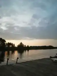 Зелёная роща - 81