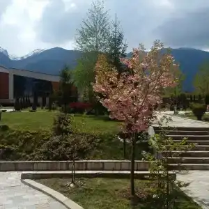 Pirin Golf and Spa - 15