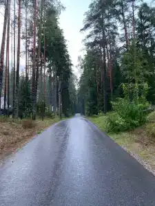 Белое солнце - 65