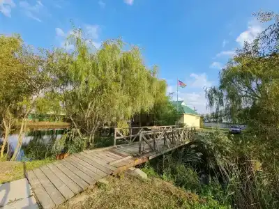 Афалина - 9