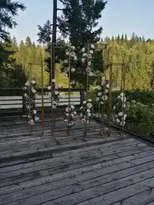 Таежная - 16