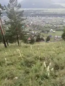 Явь - 81