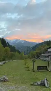 Солонечный - 37