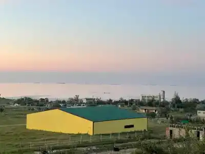 Страусиная ферма Экзотик - 0