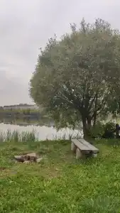 Рупасовские пруды - 35