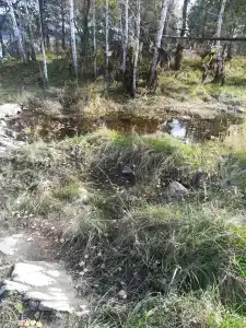 Тарелка - 7