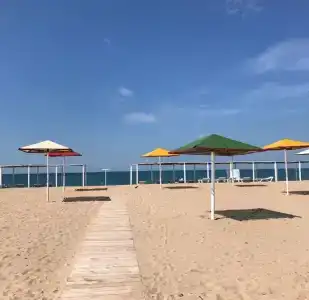 Арго - 20