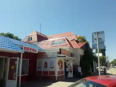 Камелия - 4