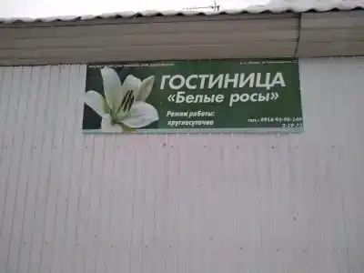 Белые росы - 1