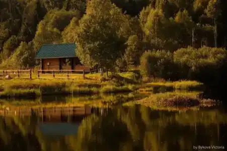 Маркомусы - 12