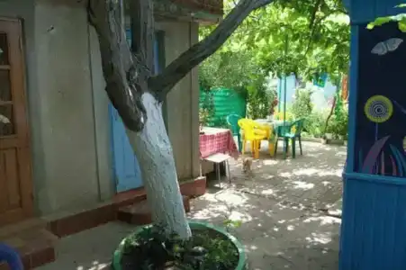 Южный колорит - 8