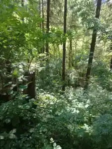 Живой источник - 22