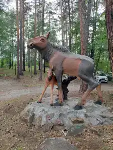 Коттедж БЕРЁЗКА на озере Большой Кисегач - 30