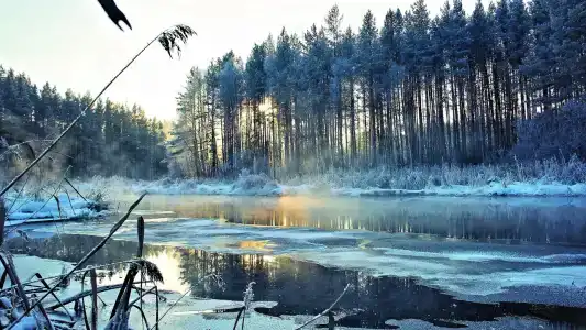 Дом на Селижаровке - 7