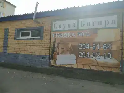 Багира - 49