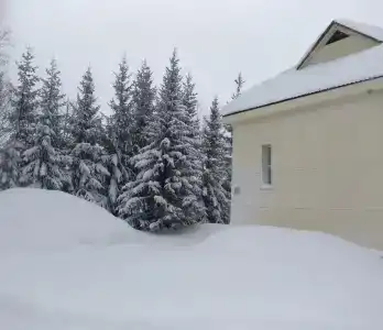 Пансионат Светлячок - 62