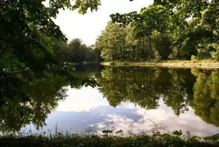 Пансионат Солнечный, комплекс Южный - 5