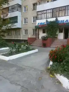 Центральная - 29