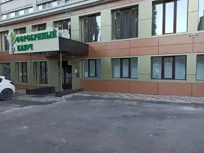 Серебряный ключ - 8