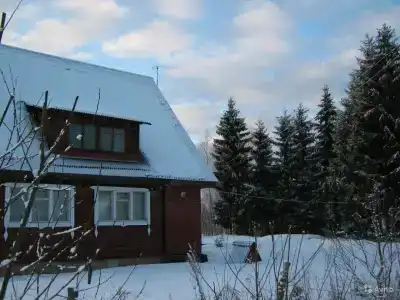 Чаща - 24