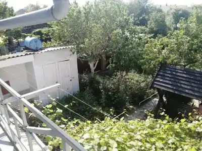 Амурчанка - 14