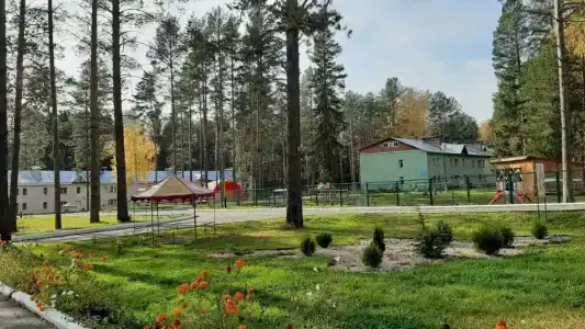 Селычка - 49