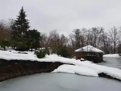 Лебедево озеро - 37