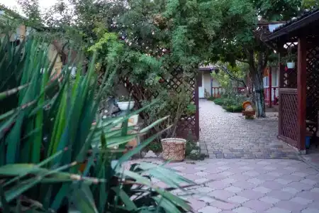 Ess House - 2