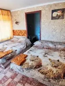Мотель в Старом Эртиле - 1
