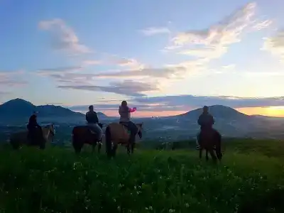 Родники - 2