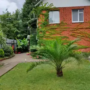 Теряев-ручей - 0