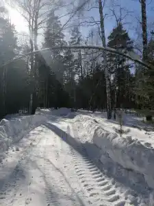 Домик в лесу - 35