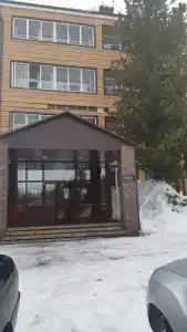 Кедр - 15