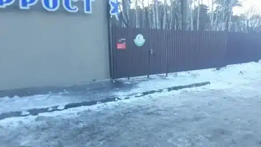 Киви - 6