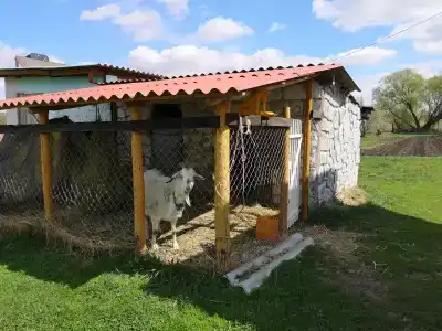 Сказкин Луг - 1