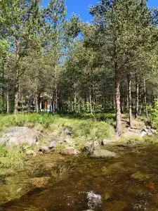 Сегежа Парк - 14