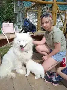 Высоковское - 51