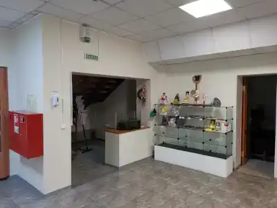 Хозяюшка - 65